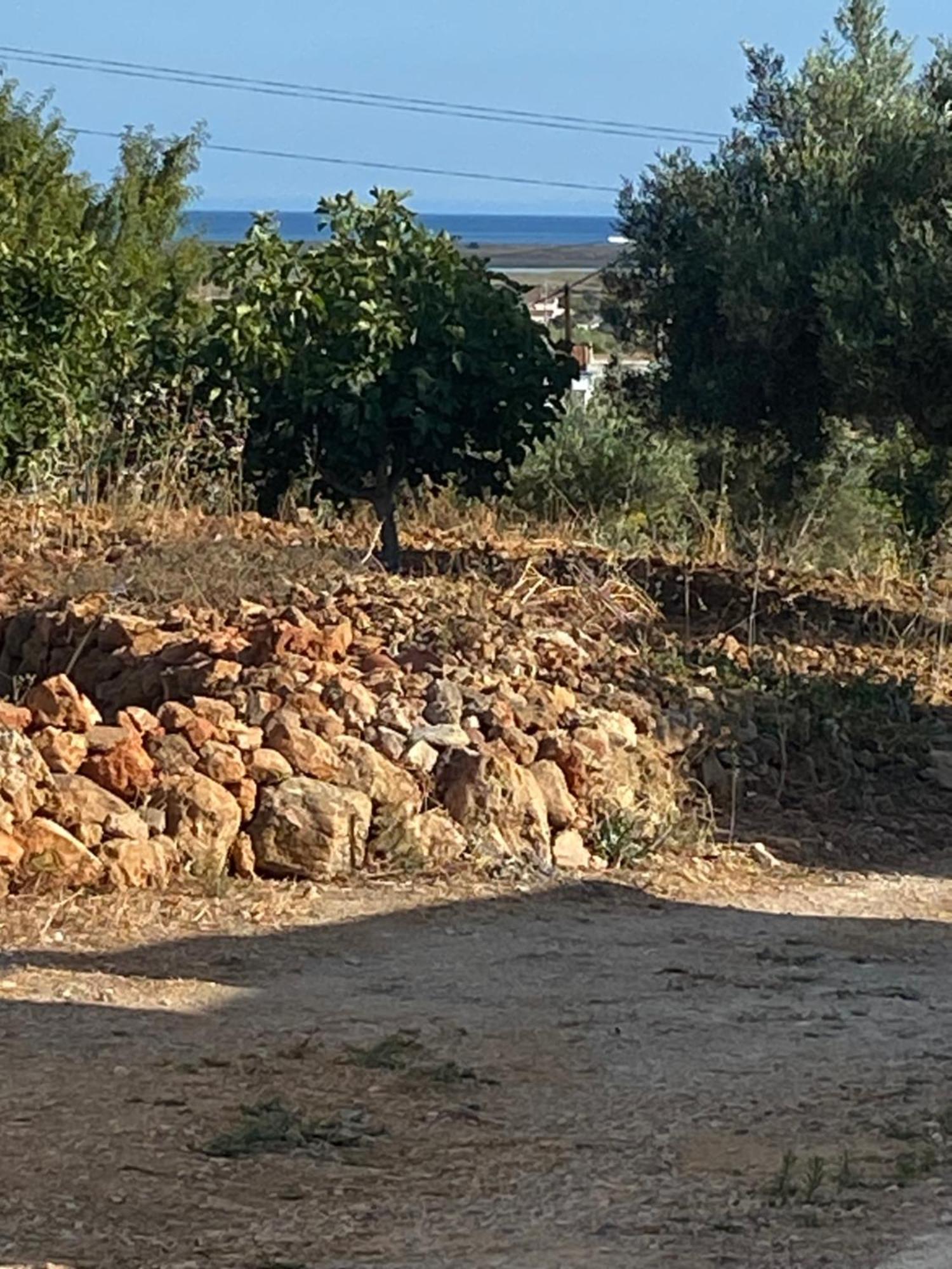 فيلا The Retreat - Ria Formosa Hamlet مونكاراباشو المظهر الخارجي الصورة
