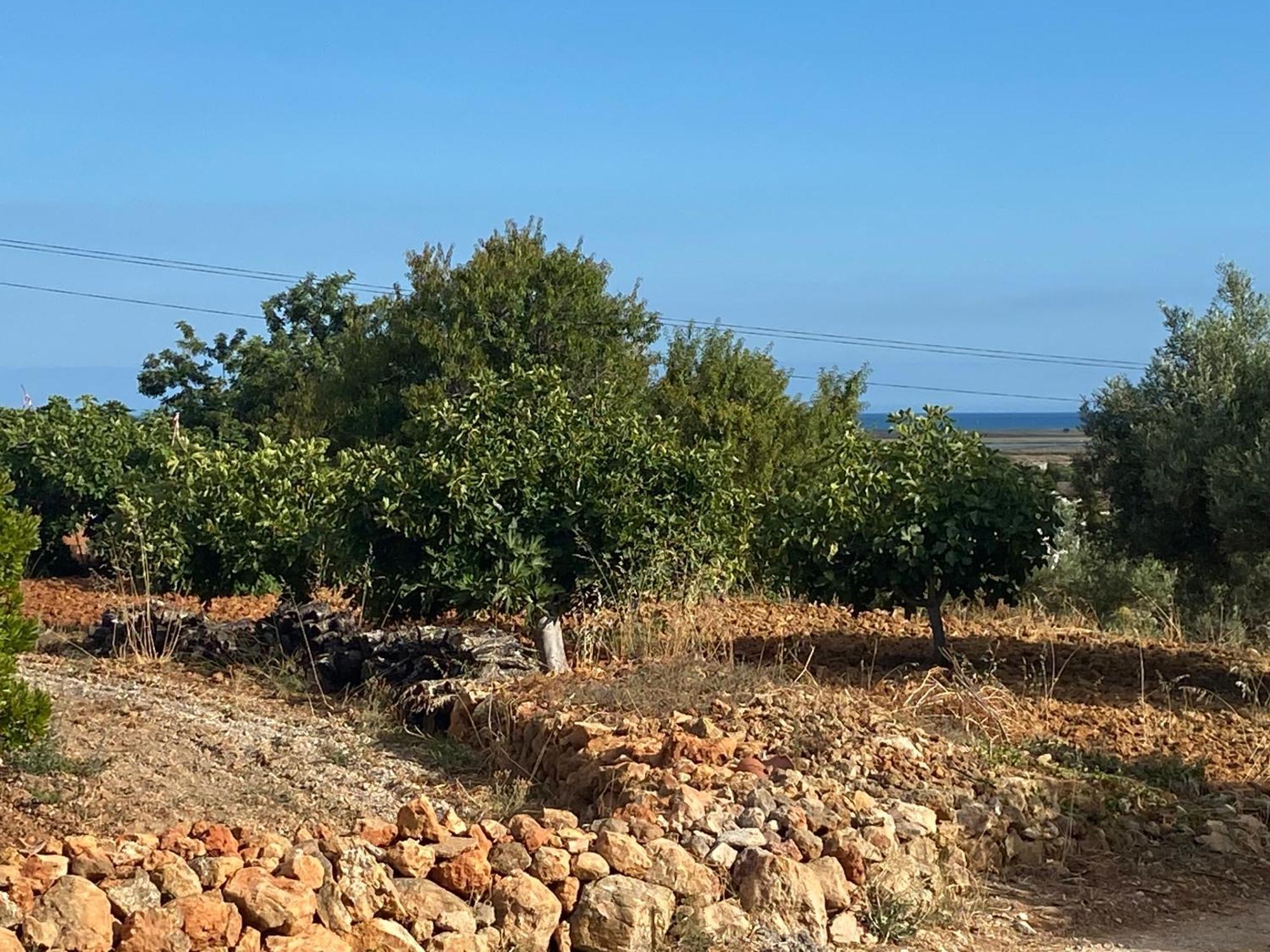 فيلا The Retreat - Ria Formosa Hamlet مونكاراباشو المظهر الخارجي الصورة